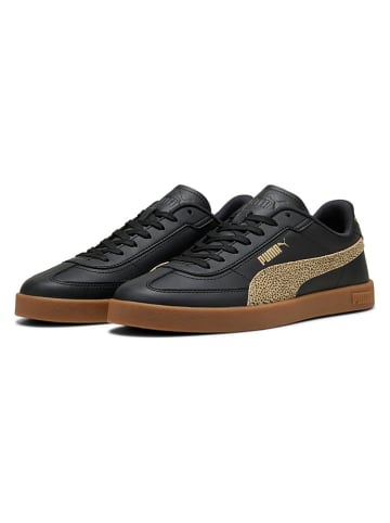 Puma Sneakers "Club II Era Topcat" in Schwarz/ Hellbraun