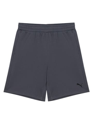 Puma Trainingsshorts "TAD Essentials" in Grau