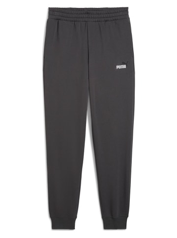 Puma Sweathose "Ess 2 Color No. 1 Logo" in Grau