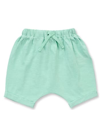 Sense Organics Short "Magesh" groen