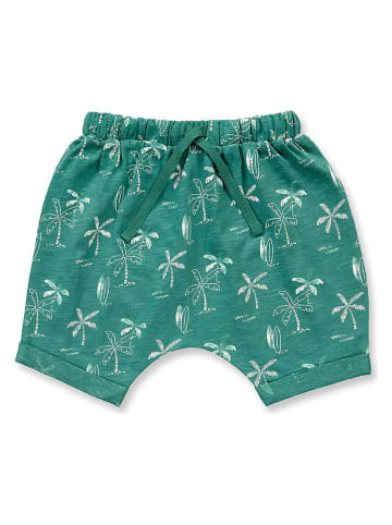 Sense Organics Short "Magesh" groen