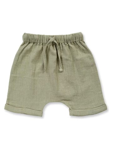 Sense Organics Short "Charlie" kaki
