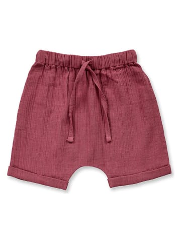Sense Organics Short "Charlie" rood