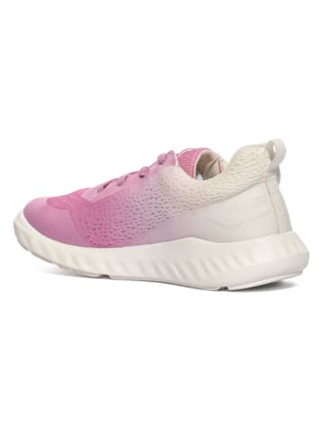 Ecco Sneakers "SP1 Lite" in Pink/ Creme