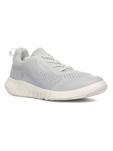 Ecco Sneakers "Sp. 1 Lite" grijs