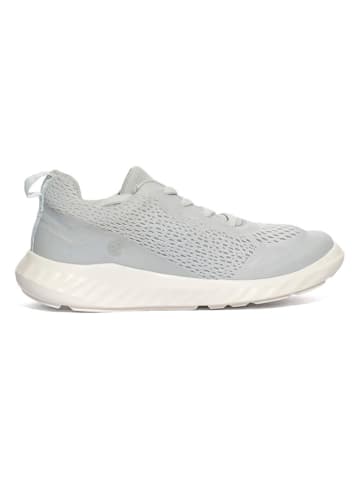 Ecco Sneakers "Sp. 1 Lite" grijs