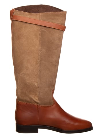 Steve Madden Stiefel "Novi" in Taupe/ Braun
