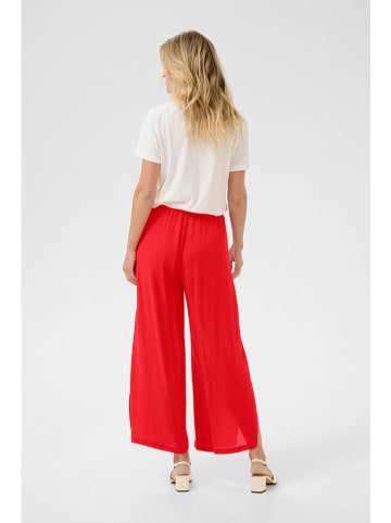 Cream Hose in Rot