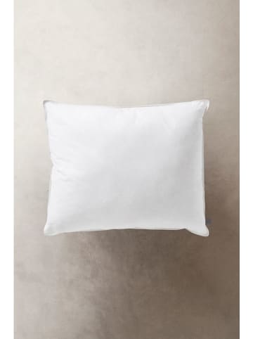 Jotex Kopfkissen "Dawn" in Weiß