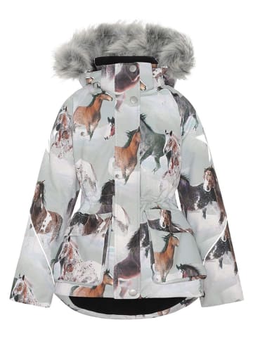 molo Winterparka in Grau