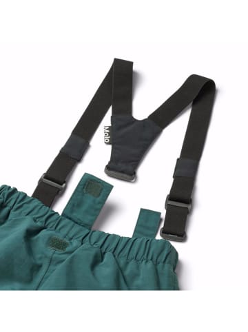 molo Ski-/ Snowboardhose in Grün