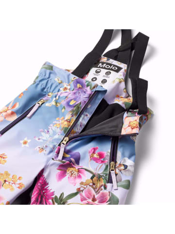 molo Ski-/ Snowboarhose in Bunt