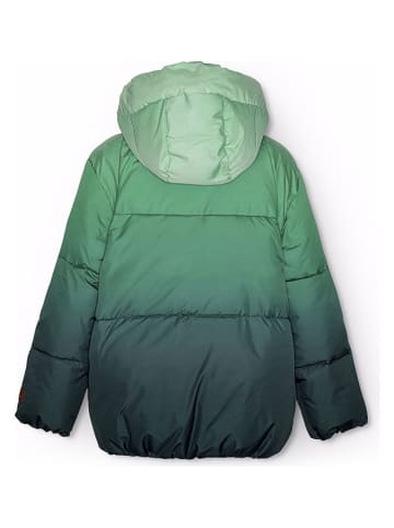 molo Winterjacke in Grün