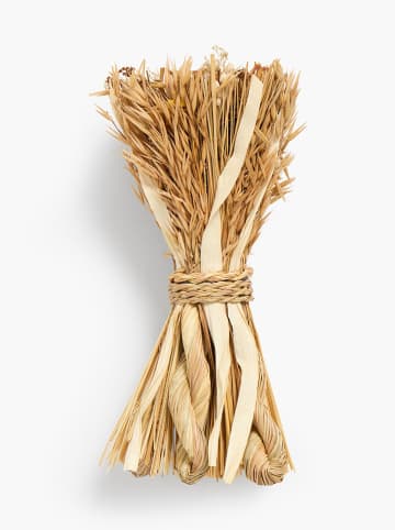 CALMA HOUSE Trockenblumenstrauß ''Joon'' in Hellbraun - (L)40 cm