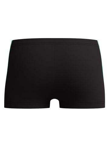 Speedo Badehose "Dive" in Schwarz/ Türkis