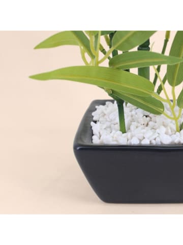 Ornami Kunstpflanze in Grün/ Schwarz - (H)40 x Ø 13 cm