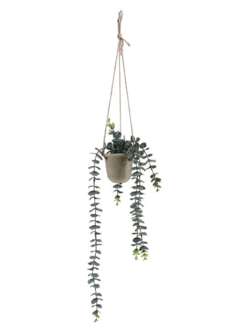 Ornami Sztuczna roślina w kolorze beżowo-zielonym - dł. 68 cm