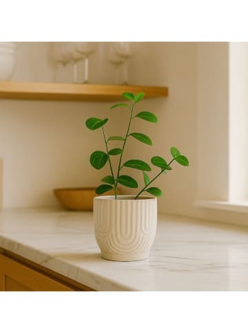 Ornami Blumentopf in Beige - (H)12,5 x Ø 13 cm