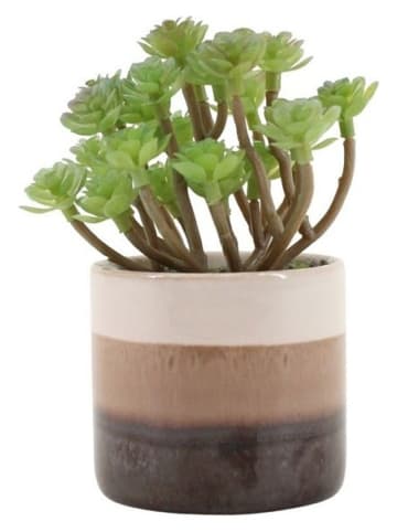 Ornami Sztuczna roślina w kolorze zielono-brązowym - wys. 13 cm