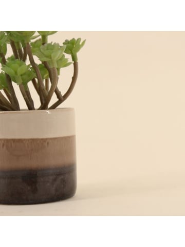 Ornami Sztuczna roślina w kolorze zielono-brązowym - wys. 13 cm