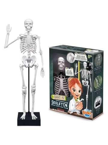 BUKI Skeleton - ab 8 Jahren