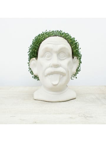 Winkee Blumentopf ''Chia Genie'' in Weiß - (B)18 x (H)23 x (T)17 cm