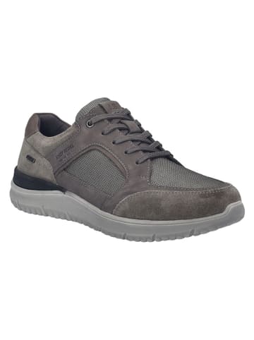 Josef Seibel Leder-Sneakers in Grau