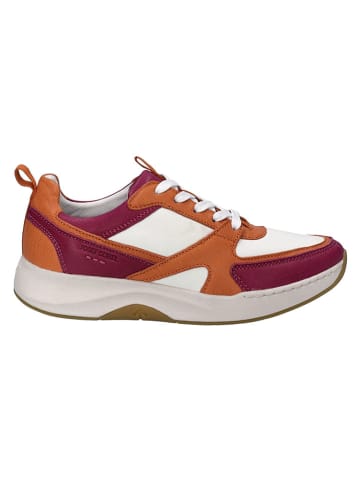 Josef Seibel Leder-Sneaker in Weiß/ Pink/ Orange