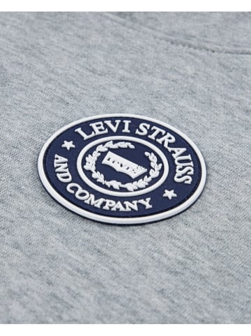 Levi's Kids Hoodie in Grau