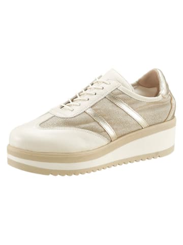 Heine Schnürschuhe in Gold