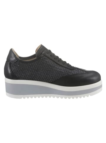 Heine Schnürschuhe in Schwarz