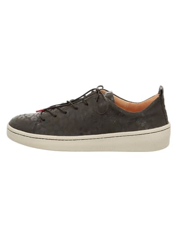 Think! Leder-Sneakers in Dunkelbraun