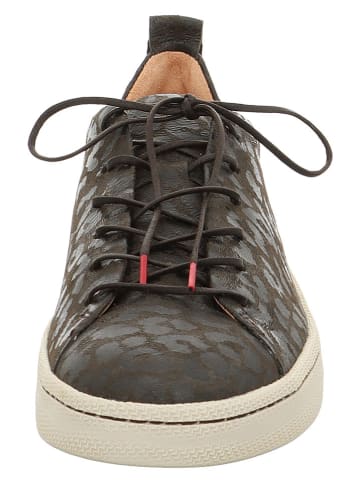 Think! Leder-Sneakers in Dunkelbraun
