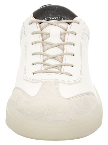 Think! Leder-Sneakers in Creme