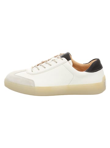 Think! Leder-Sneakers in Creme