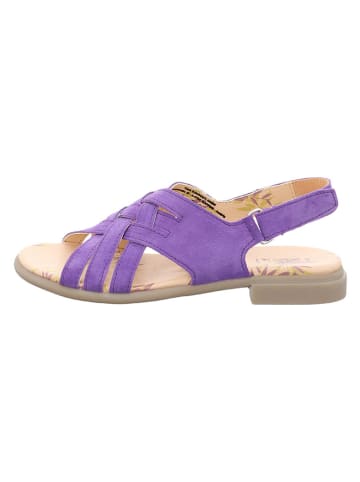 Think! Leder-Sandalen in Lila