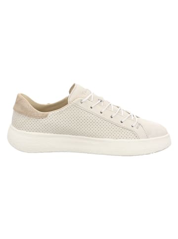 Think! Leder-Sneakers in Beige