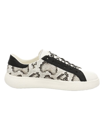 Think! Leder-Sneakers in Creme