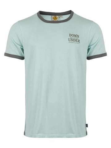 Roadsign Shirt in Hellblau