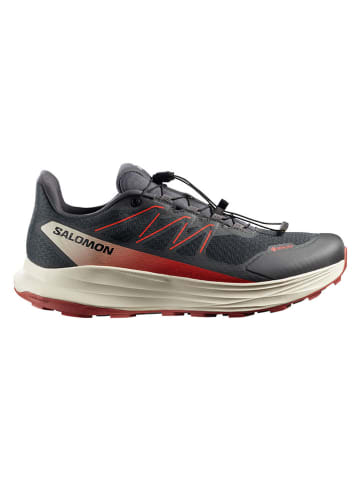 SALOMON Trailrunningschoenen "ALPHARIDE 2 GORE-TEX" antraciet