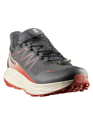 SALOMON Buty "ALPHARIDE 2 GORE-TEX" w kolorze antracytowym do biegania