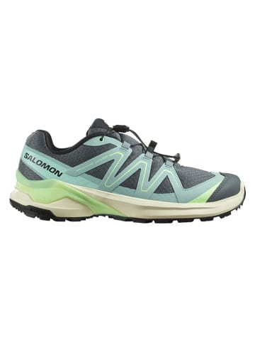 SALOMON Trailrunningschuhe "EXAMOTION" in Grün/ Grau