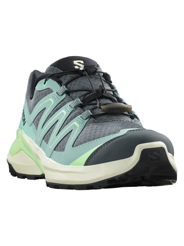 SALOMON Trailrunningschoenen "EXAMOTION" groen/grijs