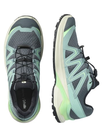 SALOMON Trailrunningschuhe "EXAMOTION" in Grün/ Grau