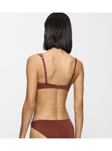 Triumph Bikini-Oberteil "Midnight Swim" in Braun