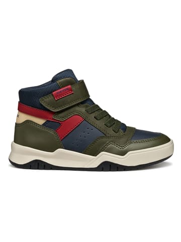 Geox Sneakers "Perth" kaki