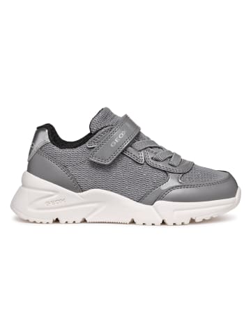 Geox Sneakers "Loftus" grijs