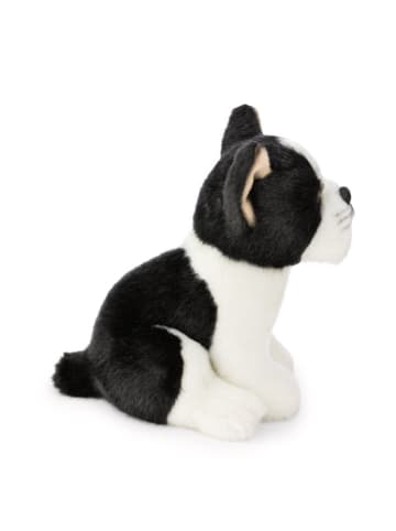NICI Knuffeldier "Hund Bosten Terrier" - vanaf de geboorte