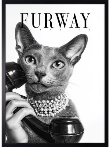 Ars Longa Gerahmter Kunstdruck "Elegance Cat" - (L)70 x (B)50 cm