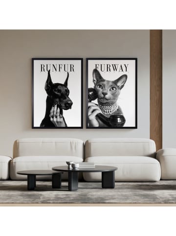 Ars Longa Gerahmter Kunstdruck "Elegance Cat" - (L)70 x (B)50 cm
